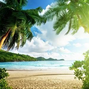 Meet your Posher, Eva